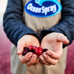 Ocean_Spray,_Cran-Energy_Cranberry_Raspberry_Energy_Juice_Drink,_10_Fl_Oz_Bottles,_6_Ct