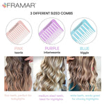 Framar_Dreamweaver_Highlight_Comb_Set_–_Combs_for_Hair_Stylist,_Highlighting_Comb,_Hair_Dye_Comb,_Hair_Highlighter_Comb_with_Metal_Pick,_Balayage_Comb