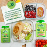 Variety_Pack_of_20_Fruit_on_the_Go_-_Unsweetened_Snacks_for_Kids,_No_Gluten,_No_Dairy,_Reclosable_Cap,_BPA_Free_Pouches_-_Mangga