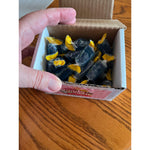 SECRET_CANDY_SHOP_Jolly_Rancher_Hard_Candy_Bulk_in_Box_-_Cherry_8oz_Snack_Sweet_Candy_-_Individually_Wrapped