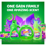 Gain_Fireworks_In-Wash_Scent_Booster_Beads,_Moonlight_Breeze_24_oz_-_Elegant_Design_for_Home_Fragrance