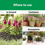 Miracle-Gro_Shake_'N_Feed_All_Purpose_Plant_Food,_For_In-Ground_and_Container_Plants,_Feeds_for_up_to_3_Months,_1_lb.