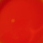 McCormick_Cake_Batter_Flavor,_McCormick's_Versatile_Baking_Extract_2_fl_oz