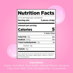 PUR_Gum_|_Aspartame_Free_Chewing_Gum_|_100%_Xylitol_|_Natural_Bubblegum_Flavored_Gum,_55_Pieces_(Pack_of_1)