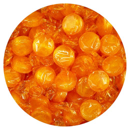 Butterscotch_Hard_Candy_-_1lb_Bulk_Bag_(Approx._75_pcs)_-_Individually_Wrapped_Butterscotch_Candy_Discs_-_The_Hampton_Popcorn_&_Candy_Company
