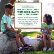 Variety_Pack_of_20_Fruit_on_the_Go_-_Unsweetened_Snacks_for_Kids,_No_Gluten,_No_Dairy,_Reclosable_Cap,_BPA_Free_Pouches_-_Mangga