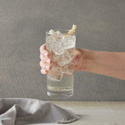 DaVinci_Gourmet_Sugar-Free_Syrup,_25.4_Fluid_Ounce