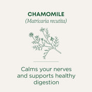 Traditional_Medicinals_Herbal_Tea,_Organic_Chamomile,_16_Tea_Bags_(Pack_of_1)