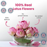 BLUE_TEA_-_Lotus_Flower_1.40_Oz_20_Cups_|_PRIME_SAVING_DAY_SUPER_ANTIOXIDANT_Refreshing_Herbal_Caffeine_Free_Based_Detox_Non_Bitter_Non-GMO_Pet_Jar_Packaging