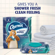Charmin_Flushable_Wipes,_,_40_Wipes_(Pack_of_4),_160_Total_Wipes