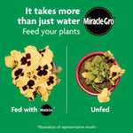 Miracle-Gro_Shake_'N_Feed_All_Purpose_Plant_Food,_For_In-Ground_and_Container_Plants,_Feeds_for_up_to_3_Months,_1_lb.
