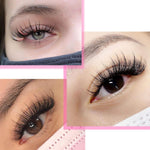 TDANCE_Premade_Spikes_Eyelash_Extension_Supplies_Thickness_0.07_D_Curl_Mix_14-19mm_Matte_Black_Eyelash_Extensions_Spikes_Fans(Spikes,D-0.07,14-19mm)_Korean_Makeup_Cosmetic_Eyelashes_Extensions