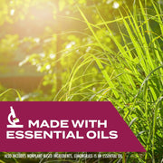 Stem_Ants,_Roaches_And_Flies:_Plant-Based_Active_Ingredient_Bug_Spray,_Botanical_Insecticide_For_Indoor_And_Outdoor_Use;_12_fl_oz_(Pack_Of_1)