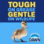 EZ-Squeeze_Ultra_Dish_Soap_Dishwashing_Liquid,_Original,_22_fl_oz