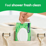 Flushable_Wet_Wipes_with_Aloe_&_Vitamin_E,_6_Flip-Top_Packs,_42_Wipes_Per_Pack_(252_Total_Wipes),_Packaging_May_Vary