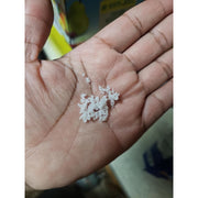 Celtic_Sea_Salt_Gourmet_Kosher,_16_Ounce