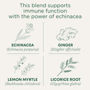 Traditional_Medicinals_Organic_Immune_Zoom_Lemon_Ginger_Tea_-_16_Ct.