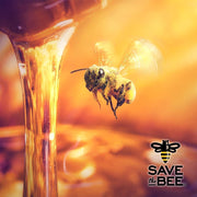 GloryBee,_Pure_Clover_Blend_Honey,_100%_US_Grade_A_Honey,_5lb