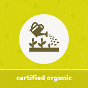 Yupik_Organic_Whole_Oat_Groats,2.2_lb_(35.2_oz),_Non-GMO,_Vegan,_Kosher,_Raw,_Whole_Grain_Oats,_Salt-Free,_Nutty_Flavor,_Good_Source_of_Fiber,_Ideal_for_Baking_&_Cooking