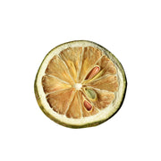 Dried_Lime_Slices_3.52oz/100g,_Dehydrated_Dry_Lime_For_Cocktails,_100%_Natural_&_No_Additives,_No_Sugar_Added_(3.52_oz)