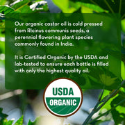 Pure_Body_Naturals_Castor_Oil_for_Eyelashes_and_Eyebrows_-_Brow_and_Lash_Growth_Serum_-_1_fl_oz_-_Organic,_Hexane_Free,_Cold_Pressed_Unrefined