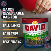 DAVID_Roasted_and_Salted_Reduced_Sodium_Sunflower_Seeds,_Original_Flavor,_16oz.