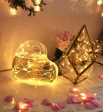 6_Pack_Fairy_Lights_Battery_Operated_with_Timer_2PCS_Remote_LED__Twinkle_Lights_Waterproof_Silver_Wire_Fireflies_Lights_DIY_Mason_Jar_Wedding_Party_Christmas_Centerpiece_Table_Deco