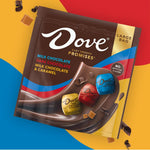 DOVE_PROMISES_Milk,_Dark_Chocolate,_and_Milk_Chocolate_&_Caramel_Variety_Assortment,_14.08_Oz_Large_Bag