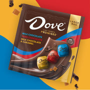 DOVE_PROMISES_Milk,_Dark_Chocolate,_and_Milk_Chocolate_&_Caramel_Variety_Assortment,_14.08_Oz_Large_Bag