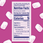 ORBIT_Gum_Bubblemint_Sugar-Free_Chewing_Gum_Bulk_Pack,_120_ct_Bottle,_Bulk