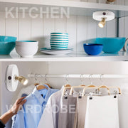 BIGLIGHT_Spotlight_Battery_Operated,_LED_Puck_Light,_Dimmable_Uplight_with_Remote,_Stick_on_Accent_Light_for_Painting_Picture_Wall_Artwork_Photo_Portrait_Closet_Plants,_Warm_White,_2_Pack