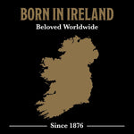 McCann's_Irish_Oatmeal,_Quick_Cooking_Rolled_Oats,_16_Ounce