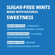 DC24_DAILY_CARE_Xylitol_Mints_|_No_Aspartame_|_Sugar_Free_|_Low-Calorie_with_Erythritol_|_Breath_Mints_Dry_Mouth_Diabetic_Friendly_|_Assorted_Flavors_30_Pieces_(Pack_of_4)