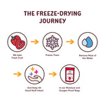 NATIERRA_Organic_Freeze-Dried_Bananas_USDA_Certified_Organic,_Vegan_&_Non-GMO_2.5_Ounce_(Pack_of_1)