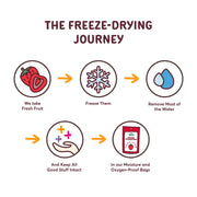 NATIERRA_Organic_Freeze-Dried_Bananas_USDA_Certified_Organic,_Vegan_&_Non-GMO_2.5_Ounce_(Pack_of_1)