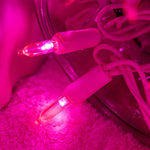 YULETIME_LED_Christmas_Lights_with_Wire,_33_ft_100_Count_UL_Certified_Commercial_Grade_Holiday_String_Light_Set