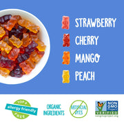 YumEarth_Organic_Fruit_Flavored_Gummy_Bears,_10-_.7oz._Snack_Packs,_Allergy_Friendly,_Gluten_Free,_Non-GMO,_No_Artificial_Flavors_or_Dyes