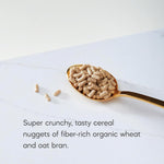 Nature's_Path_Organic_Smart_Bran_Cereal,_10.6_oz_(Pack_of_1),_Non-GMO
