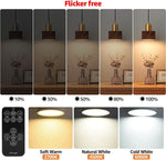 BLUEYE_Rechargeable_Battery_Operated_Light_Bulb,2Packs,300LM,40W_Equivalent,E26_Detachable_Charging(E12_available),4_Color_Temperature,Remote_Control_Puck_Emergency_Lamp,Timer,Dimmer,For_Non-Hardwired