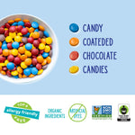 YumEarth_Choco_Yums,_5-0.7_Ounce_Snack_Packs,_Allergy_Friendly,_Gluten_Free,_Non-GMO,_Vegan,_No_Artificial_Flavors_or_Dyes_(3.5_Ounce_(Pack_of_1))