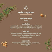 Method_Men_Body_Wash,_Cedar_+_Cypress,_Paraben_and_Phthalate_Free,_18_fl_oz_(Pack_of_1)