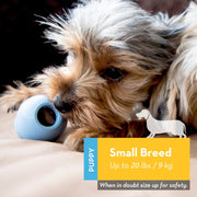 KONG_Puppy_-_Natural_Teething_Rubber_Chew_Toy_for_Dogs_-_Stuffable_Dog_Toy_for_Extended_Playtime_-_Chew_&_Fetch_Toy_for_Puppies_-_for_Small_Puppies