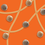 Reese's_Puffs_Breakfast_Cereal_Treat_Bars,_Peanut_Butter_&_Cocoa,_8_ct