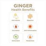 GIN_GINS_Original_Ginger_Chews_–_Natural_Fresh_Candy_by_The_People_Individually_Wrapped_Healthy_Flavor_3oz_Bag_(Pack_of_1)