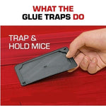 Tomcat_Mouse_Glue_Trap_W/Eugenol_-_8_Pack_Rat