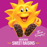 Kellogg’s_Raisin_Bran_Breakfast_Cereal,_High_Fiber,_28g_Whole_Grain,_Large_Size,_20.9_oz