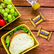 SNICKERS_Crunchy_Peanut_Butter_Squared_Fun_Size_Halloween_Chocolate_Candy_Bars,_11.5oz