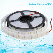 16.4Ft_Super_Bright_Triple_Row_LED_Strip_Lights,_12V_1800_LEDs_SMD_2835_Dimmable_Flexible_Light_Tape,_Daylight_White_6000K,_Waterproof_IP67_/_Non-Waterproof_IP20_Options_for_Indoor_&_Outdoor_Use,_Home,_Truck,_and_Wheel_Lighting