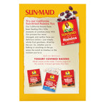 Sun-Maid_California_Golden_Raisins_-_12_oz_Sharing-Size_Box_-_Dried_Fruit_Snack_for_Lunches,_Snacks,_and_Natural_Sweeteners