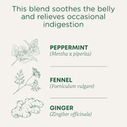 Traditional_Medicinals_Tea,_Organic_Belly_Comfort_Peppermint,_Promotes_Healthy_Digestion,_16_Tea_Bags